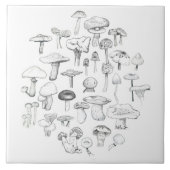 きのこの集団 タイル (正面)
