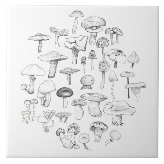 きのこの集団 タイル (正面)