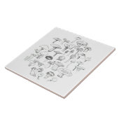 きのこの集団 タイル (側面)