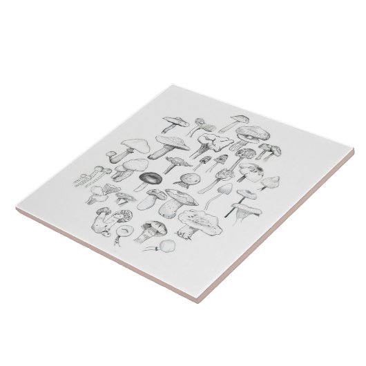 きのこの集団 タイル (側面)