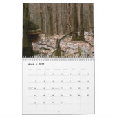 きのこカレンダー カレンダー (3月 2027)