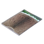 きのこジャーナル ノートブック (左側)