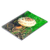 きのこ手帳 ノートブック (左側)