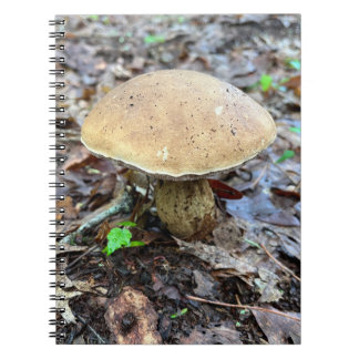 きのこ手帳 ノートブック