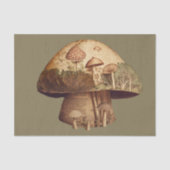 きのこ本ヴィンテージ紙分離 薄葉紙 (正面)