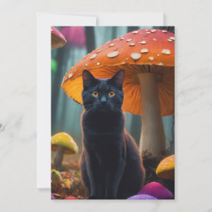 きのこ猫 招待状