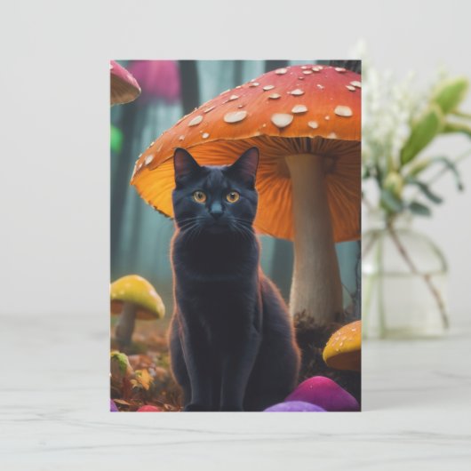 きのこ猫 招待状 (スタンド正面)