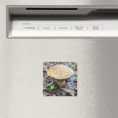 きのこ磁石 マグネット (インサイチュ (食洗機))