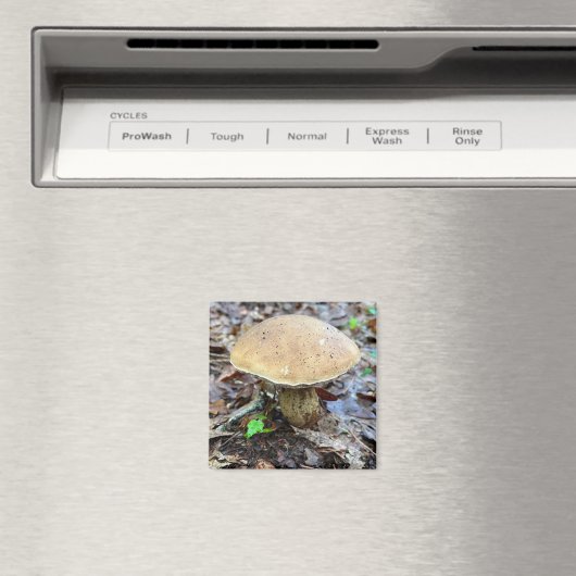 きのこ磁石 マグネット (インサイチュ (食洗機))