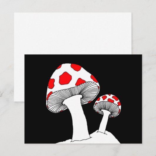 きのこ葉書 ポストカード (正面/裏面)