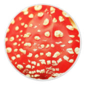 きのこ赤と白の床写真撮影 セラミックノブ (正面)