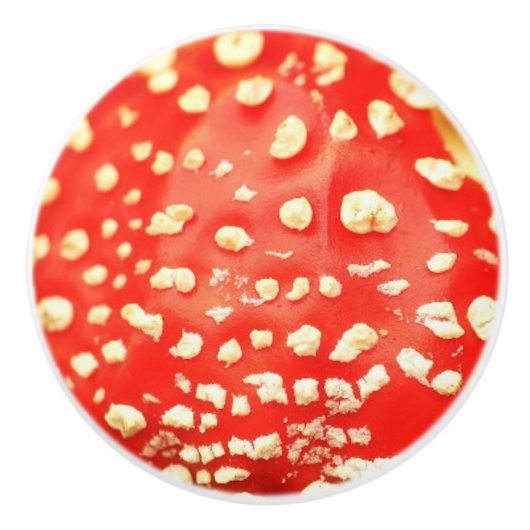 きのこ赤と白の床写真撮影 セラミックノブ (正面)