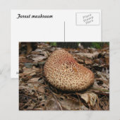 きのこ149～はがき ポストカード (正面/裏面)