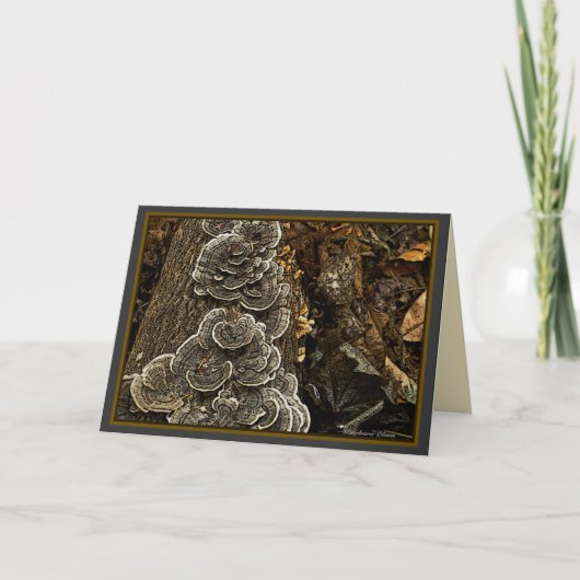 きのこ カード (正面)