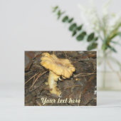 きのこ ポストカード (スタンド正面)