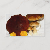 きのこ 名刺 (裏面)