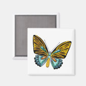 きらきら光るきらきら光る蝶 マグネット (正面/裏面)