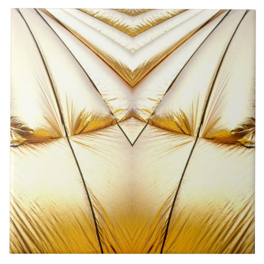 きらきら光る タイル (正面)