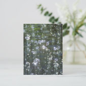 きらきら滝 ポストカード (スタンド正面)