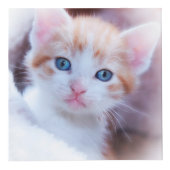 きらびやかなバラゴールドフォイルファンシーモノグラム フォトキューブ (右)