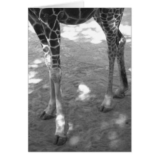 きらめきのつま先