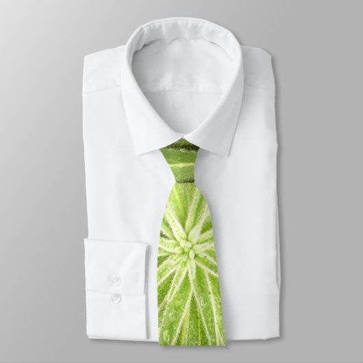 きらめくな低下のタイ ネクタイ (タイ)