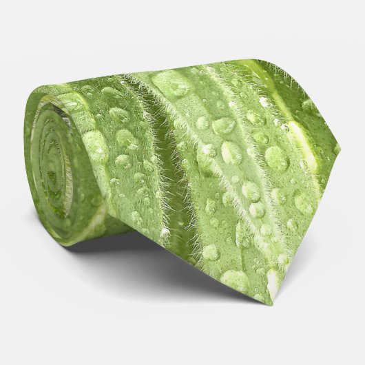 きらめくな低下のタイ ネクタイ (ロール)