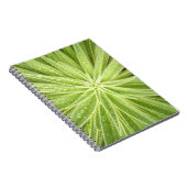 きらめくな低下のノート ノートブック (右側)