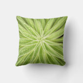 きらめくな低下の装飾用クッション クッション (裏面)