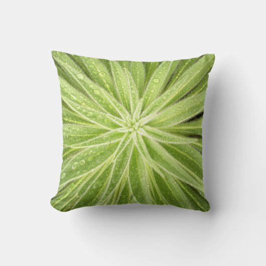 きらめくな低下の装飾用クッション クッション (正面)