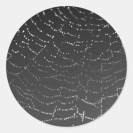 きらめくクモ ラウンドシール