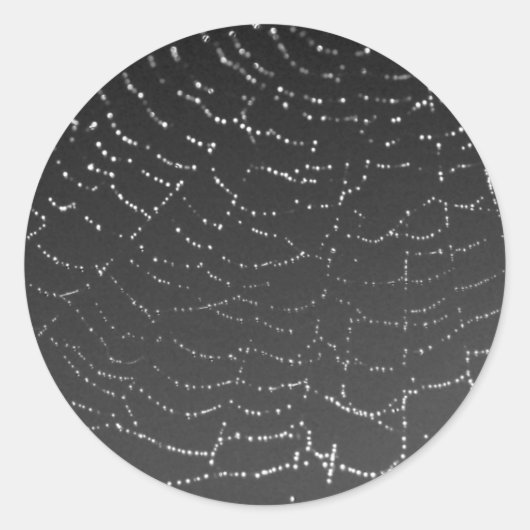 きらめくクモ ラウンドシール (正面)