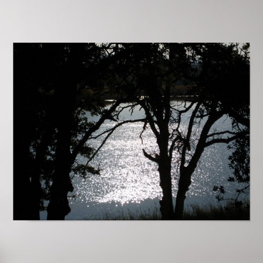 "きらめくシルエット" ポスター (正面)