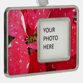 きらめくスターサプライズポインセティアホリデイフローラ シルバープレートフレームオーナメント (右)