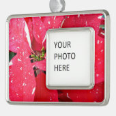 きらめくスターサプライズポインセティアホリデイフローラ シルバープレートフレームオーナメント (左)