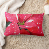 きらめくスターサプライズポインセティアホリデイフローラ ランバークッション (ブランケット)