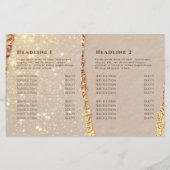 きらめくリップ紙2折パンフレット (裏面)