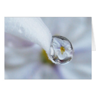 きらめく光のカード