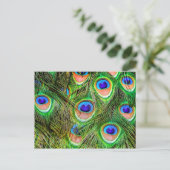 きらめく孔雀の羽 ポストカード (スタンド正面)