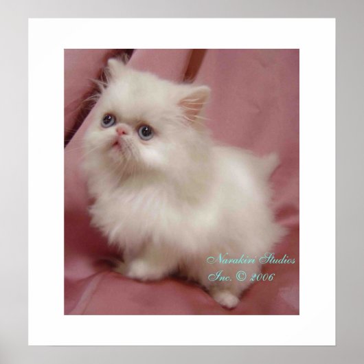 きらめく小さな星 ポスター (正面)