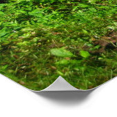 きらめく海 ポスター (角)