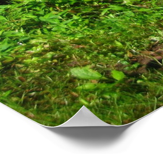 きらめく海 ポスター (角)