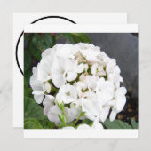 きらめく白結婚花 セーブザデート (正面/裏面)