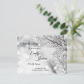 きらめく雪と氷の冬のウェディング セーブザデート (スタンド正面)