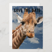 きりんジャングル招待状をカスタマイズ 招待状 (正面/裏面)