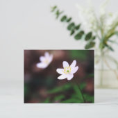 きれいなアネモネ花はがき ポストカード (スタンド正面)