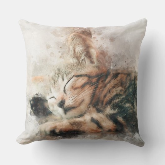 きれいな可愛い子猫の寝水色 クッション (正面)