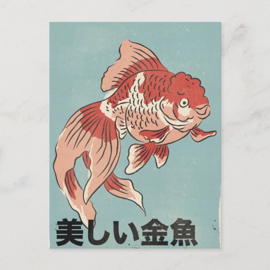 きれいな金魚 ポストカード (正面)