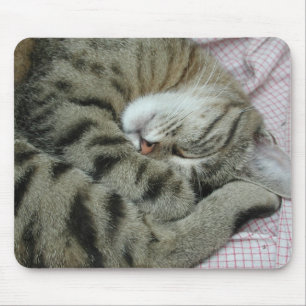 ぎこちない猫の眠り マウスパッド