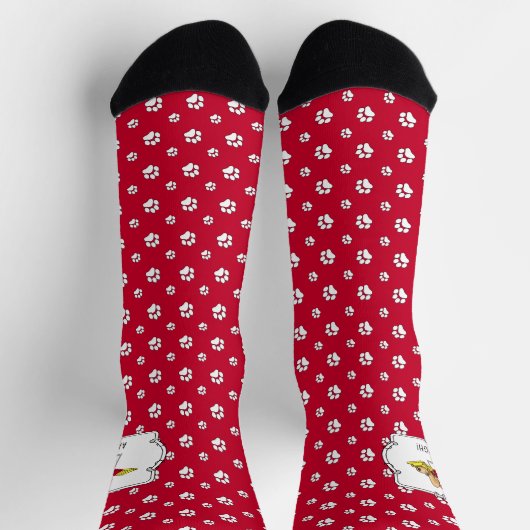 ぎゃー!面白い怖い緊張のドッグアジリティシーソー! ソックス (上部)